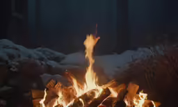 a camp fire in the woods on a cold night