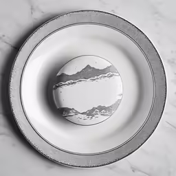 a white and silver plate with a mountain on it