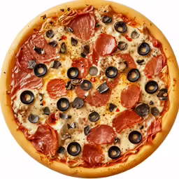 pizza topped with olives, ham, cheese and mushrooms