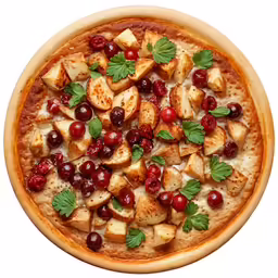 a pizza with fresh tomatoes, olives and other toppings