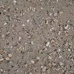 several rocks and sand near each other