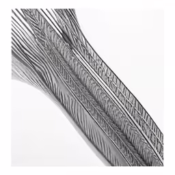 an artistic shot of silver lines against white background