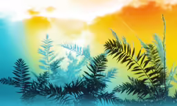 the image shows grass and sky on this cloudy day