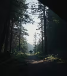 people walking on a forest trail through a dark and foggy area