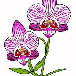 two pink and white flowers are in a vase,two purple orchids that are on a white background