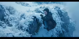 a woman sitting on top of a tree covered mountain