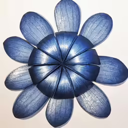 large blue flower in center of circular photograph
