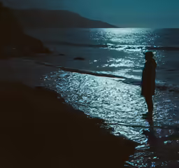 a person standing in the shallow water with their back turned to a camera