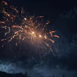 fireworks are lit up the sky on a night
