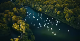 there are many boats that are floating on the water