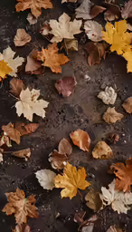many leaves on the ground, all yellow, brown, and green