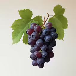 a cluster of grapes with leaves hanging on the stem