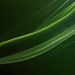 a green and white swirl of grass leaves