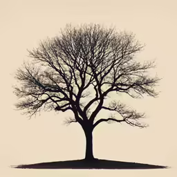 a bare tree sitting on a hill near a field