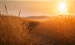 the sun sets over a hill and grass covered field