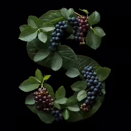 blue berries and green leaves on black background