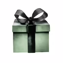 an image of the green gift box with a bow