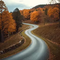 a curve in the road next to trees and hills