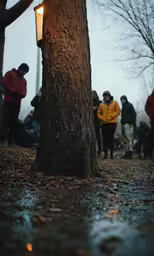 people stand next to a tree under a street light