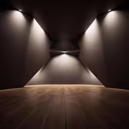 a dimly lit room with a wooden floor