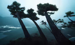 trees sticking out from the ground near some water