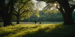 people walking through the grass in the sun