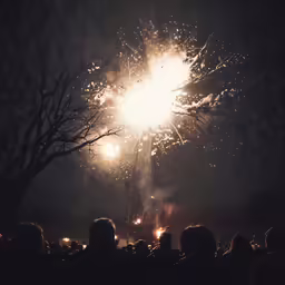 people are watching and watching fireworks in the night sky