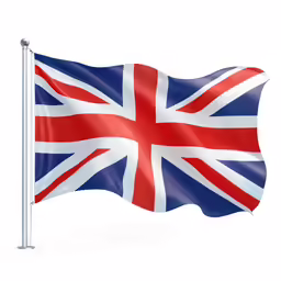 a flag waving in the wind