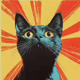 black cat with yellow and red lines on orange background
