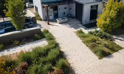a small house sits near a tree lined driveway