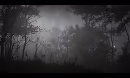 an image of a black and white scene of woods with fog
