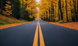 the long road leads through some trees in fall