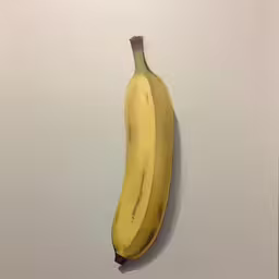 a ripe banana hanging on a wall