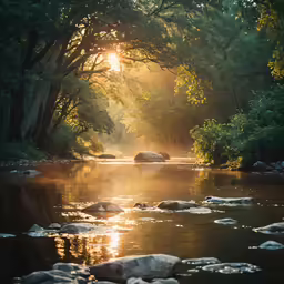 the sun shining through the trees is shining down on the water
