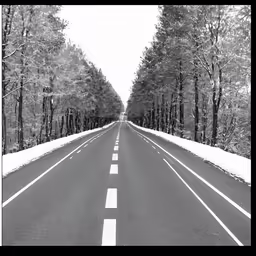 a street with a line of trees that is snowing down the side of it
