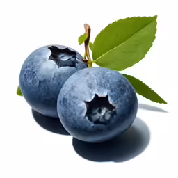blueberries with leaves on a white background