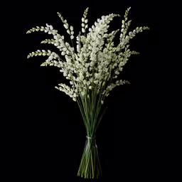 flowers in a vase sitting on a black background