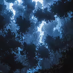 a view from behind some leaves from trees