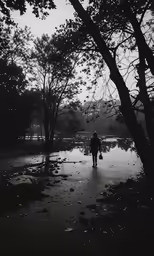 there is a person that is walking in the park