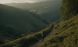 a person is walking through the field along a trail