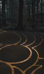 the pathway has an abstract pattern made of circles
