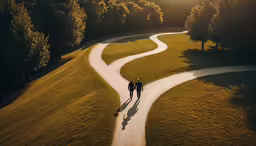 two people walking down a winding road in the middle of a park