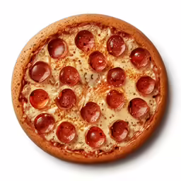 a closeup shot of a pizza with cheese
