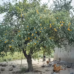 there is a small dog sitting under a tree