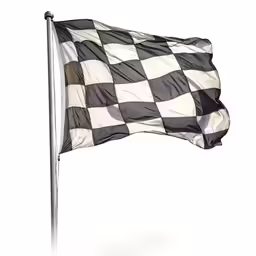 a checkerboard flag with a pole on top