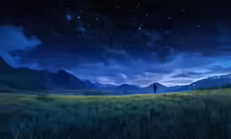 a grassy plain with tall grass on the ground and the sky covered in stars
