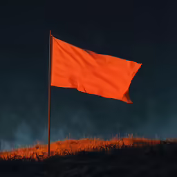 a tall orange flag sticking out of the ground