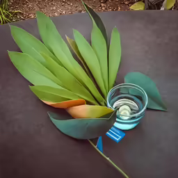 a green leaf sits near a small cup on the ground