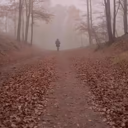 a lone man standing on a trail in a foggy forest