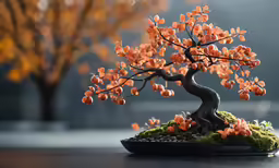 an orange bonsai tree with moss growing on the top
